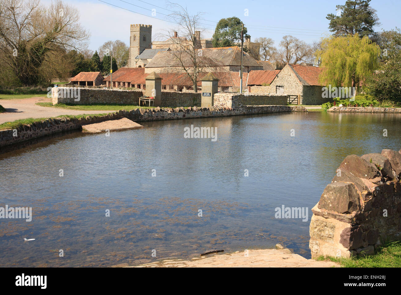 Der Ententeich und Dorf East Quantoxhead in West Somerset Stockfoto