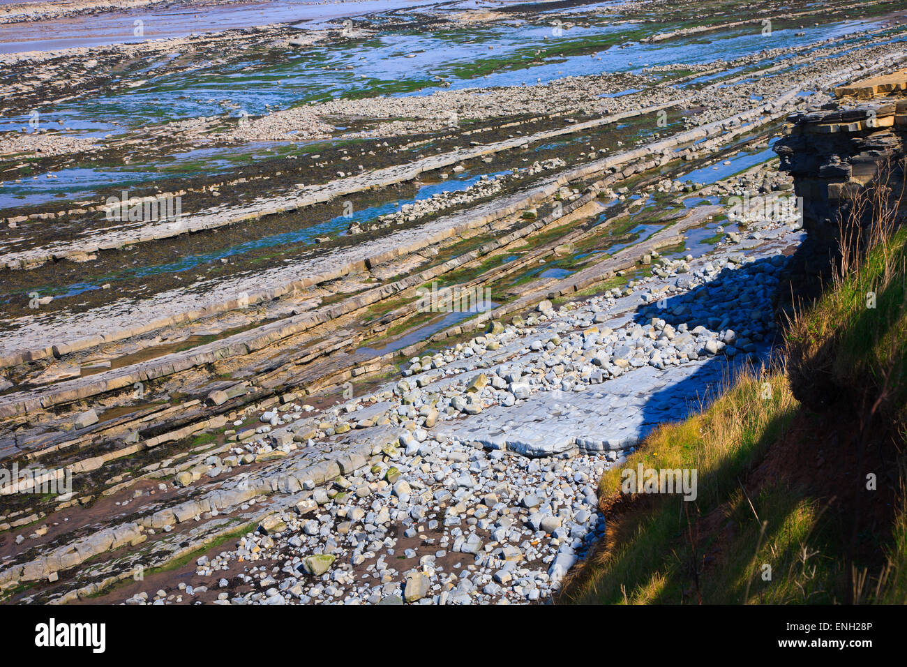 Der Strand von Kilve in West Somerset mit blauen, gelben und braunen Lias mit Fossilien eingebettet Stockfoto