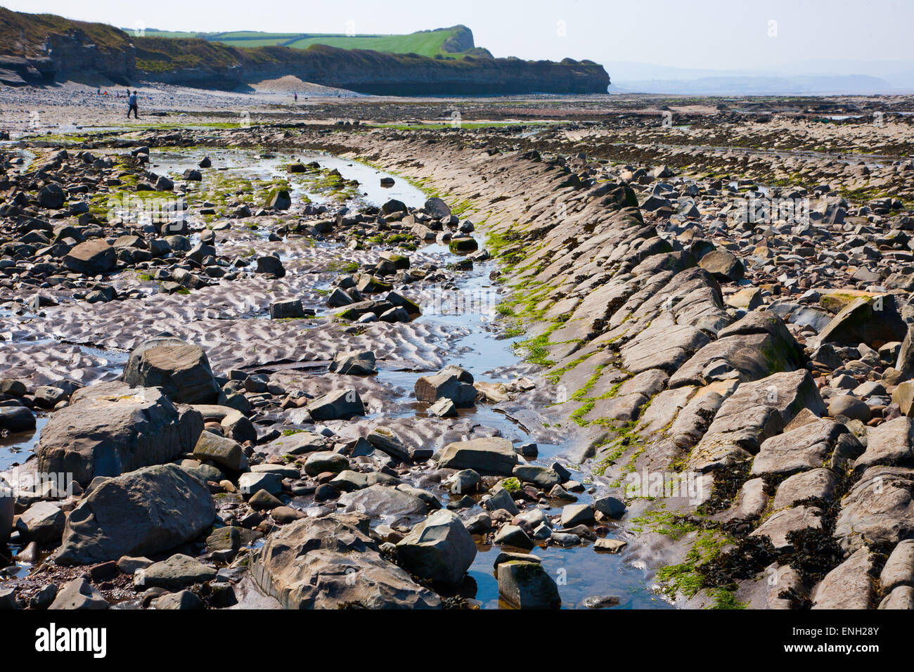 Der Strand von Kilve in West Somerset mit blauen, gelben und braunen Lias mit Fossilien eingebettet Stockfoto