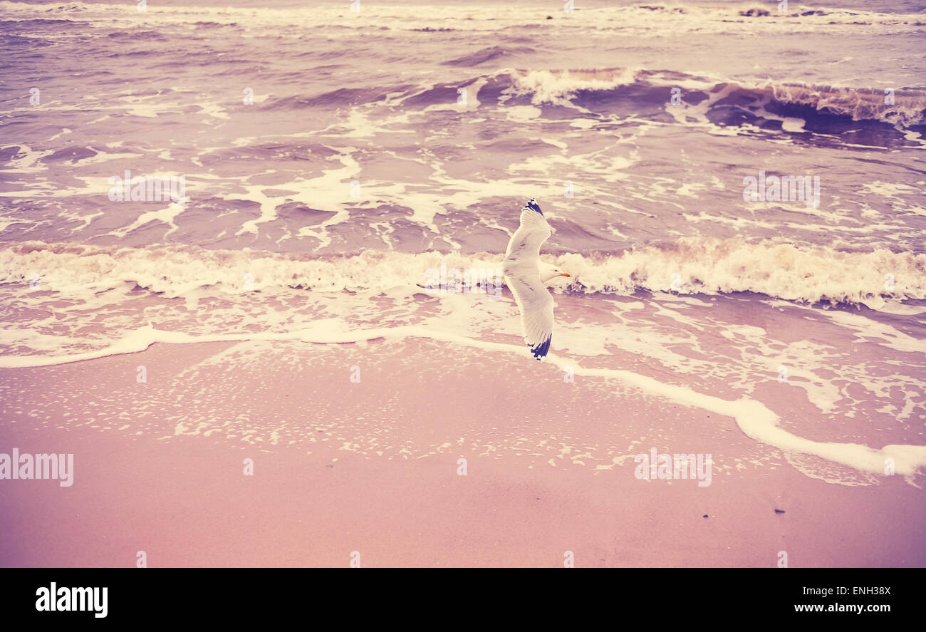 Vintage Retro stilisierte Natur Hintergrund mit Möwe am Meer. Stockfoto