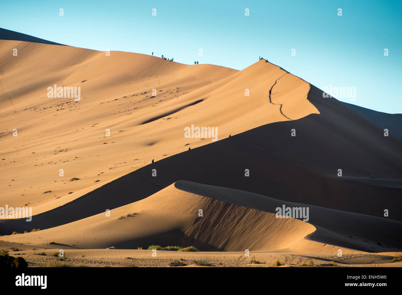 Afrika, Namibia. Namib-Wüste. Sossusvlei, Naukluft Park. Wanderer am Grat des Big Daddy Düne bei Sonnenaufgang. Stockfoto
