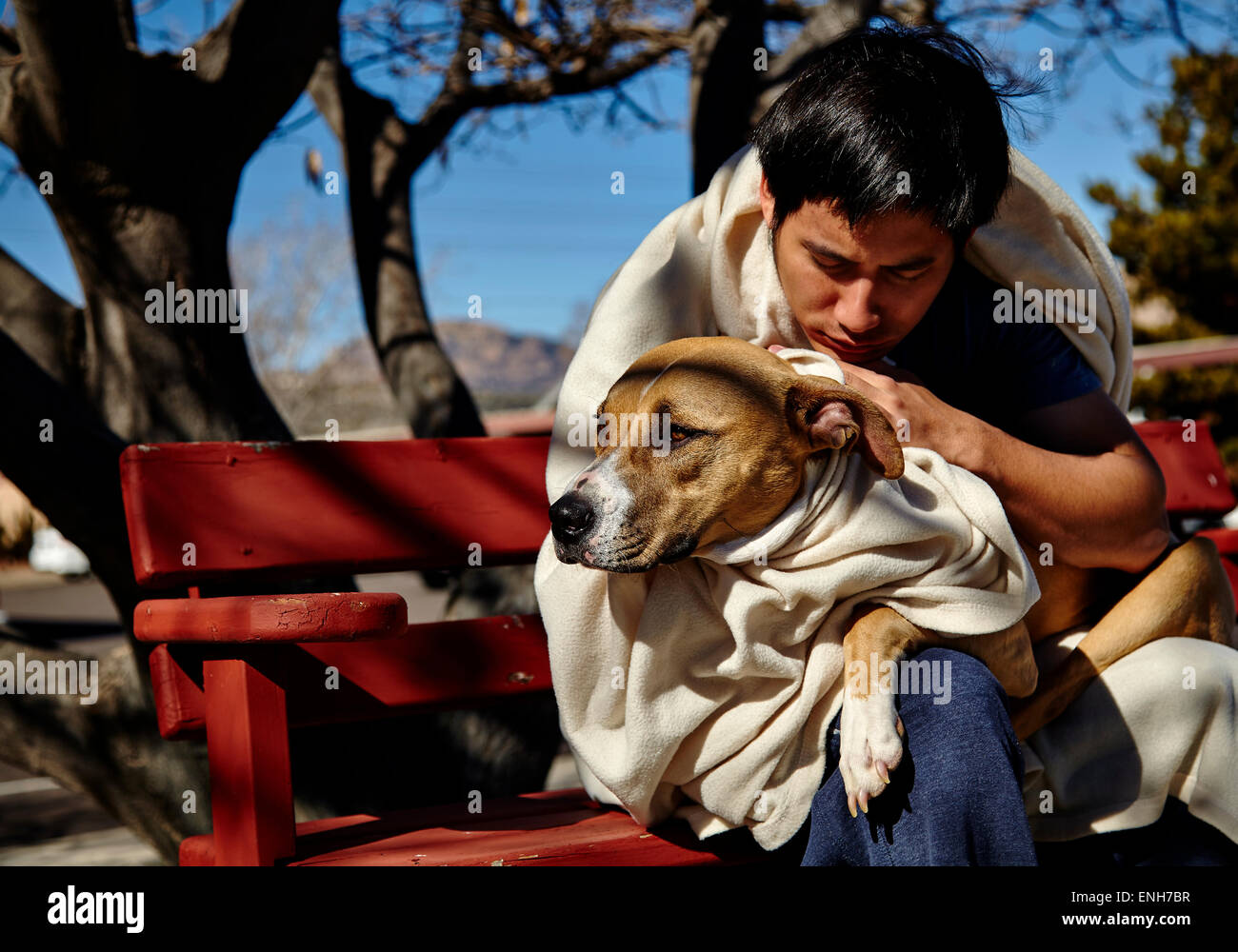 Mann schläft auf Bank in Besitz eines Hundes Decke gehüllt Stockfoto