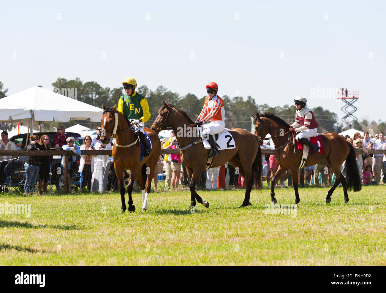 Steeplechase Horse Races Stockfotos Und Bilder Kaufen Alamy