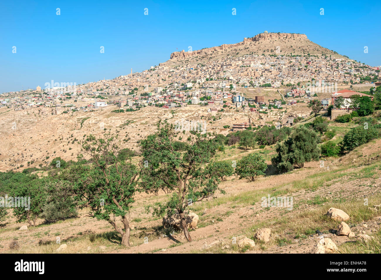 Überblick über die Mardin Stadt, Anatolien, Türkei Stockfoto