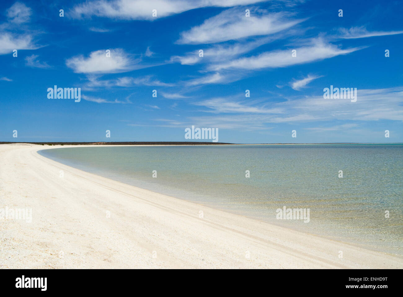 Sandstrand, Shell Beach, Shark Bay, Western Australia, Australien Stockfoto