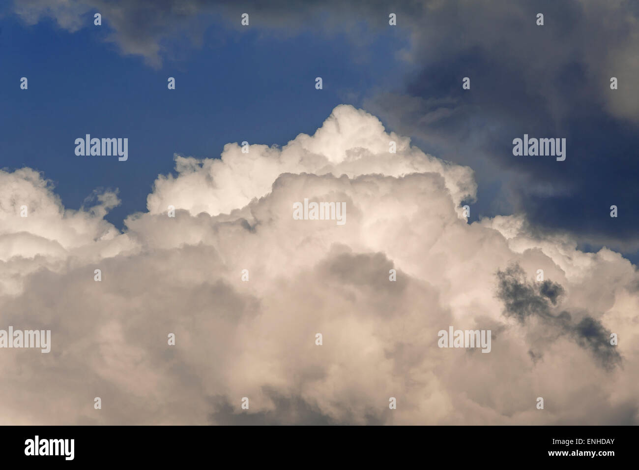 Cumulus-Wolke Stockfoto