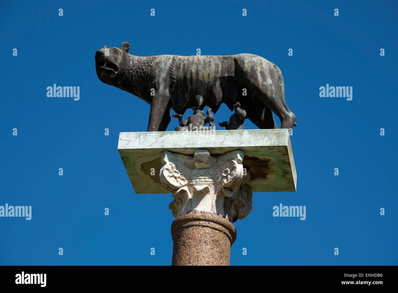 Spalte mit Skulpturen von Remus und Romulus, der She-Wolf, Pisa, Toskana, Italien Stockfoto