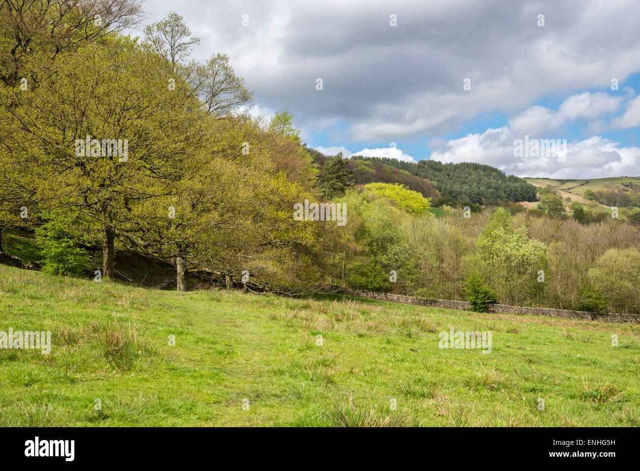 Landschaft in der Nähe von Hollingworth Tameside, England an einem Frühlingstag. Stockfoto