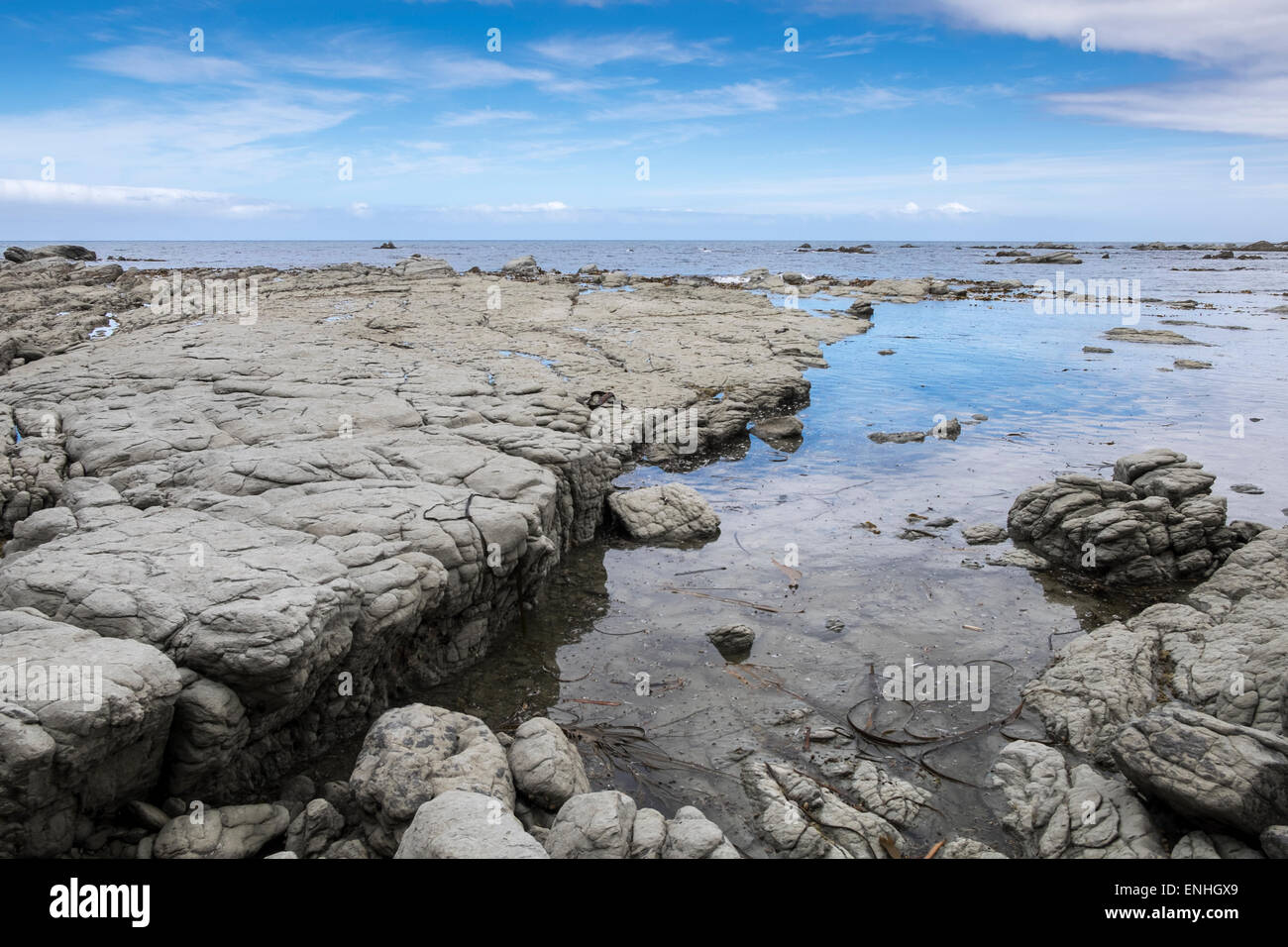 Der Kalkstein Regal auf Kaikoura Halbinsel, die bei Ebbe, New Zealand getaucht wird. Stockfoto