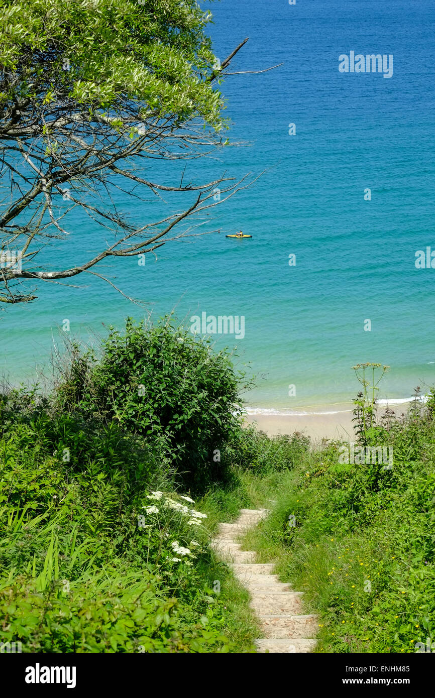 Der Küstenweg in Cornwall führt hinunter zum Strand Carbis Bay Stockfoto