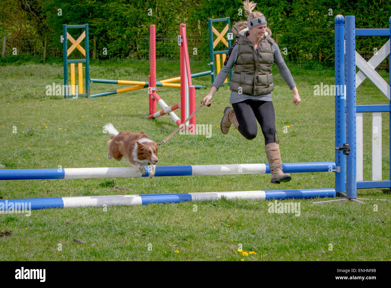 Hunde und ihre Besitzer teilnehmen an eine Alvechurch Riding Club Show in der Hoffnung, dass ihre Fähigkeiten gewinnen helfen können Stockfoto