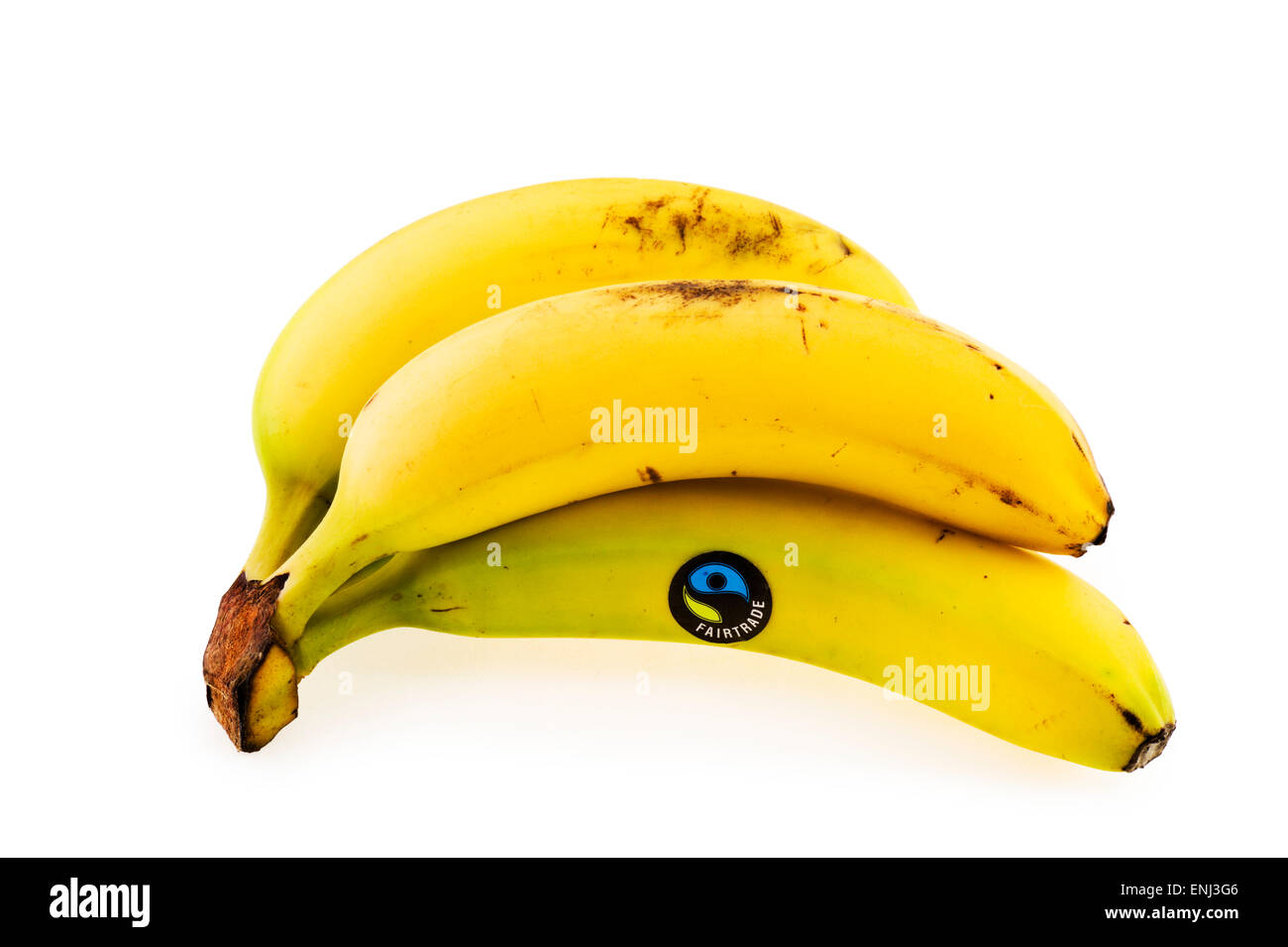 Reihe von Fairtrade-Bananen Stockfoto