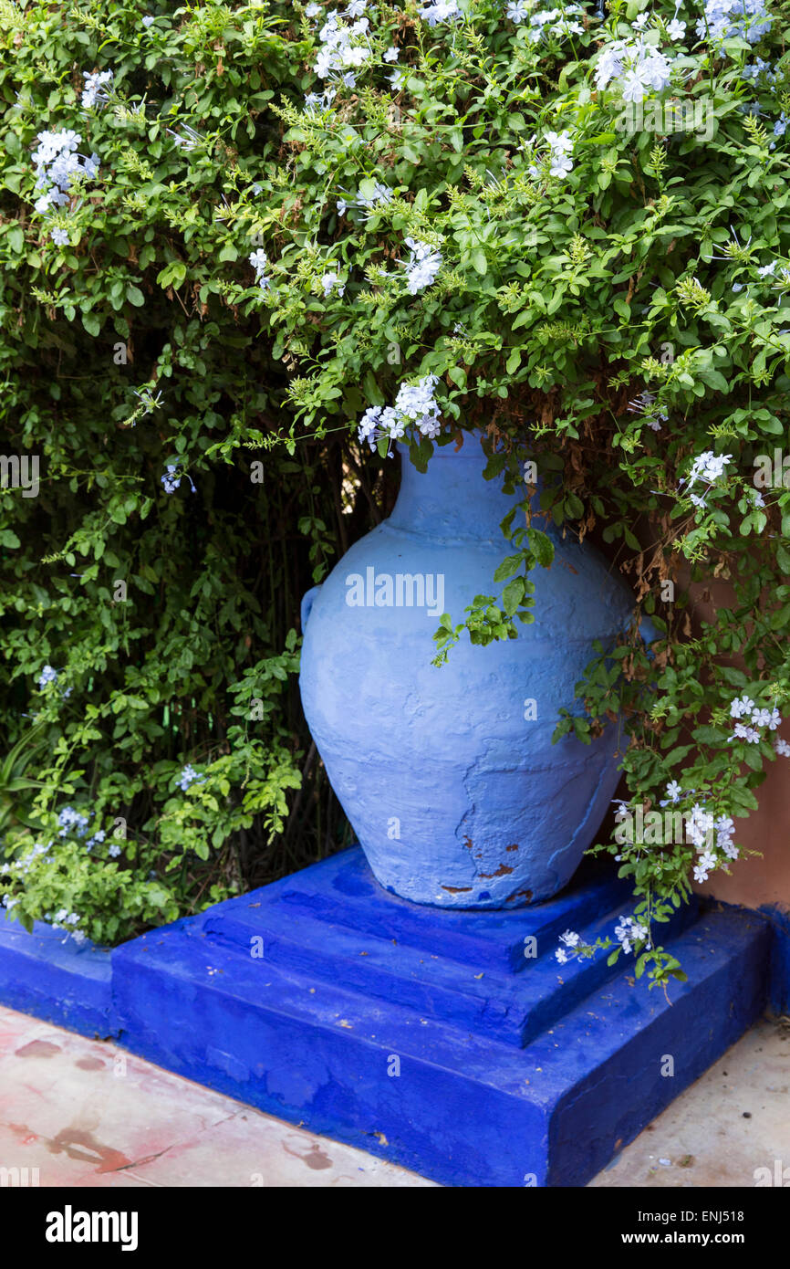 Yves Saint Laurent Garten Marokko Marrakesch marokkanische Gärten Jardin Majorelle Stockfoto