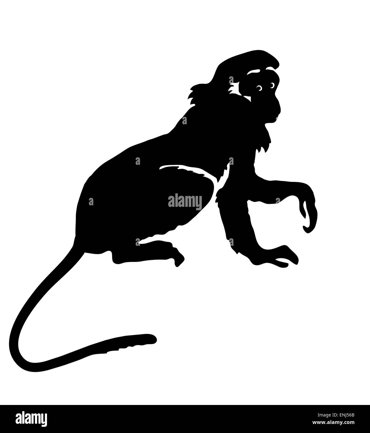Affe. Handgezeichnete Silhouette des Tieres auf weißem Hintergrund Stock Vektor