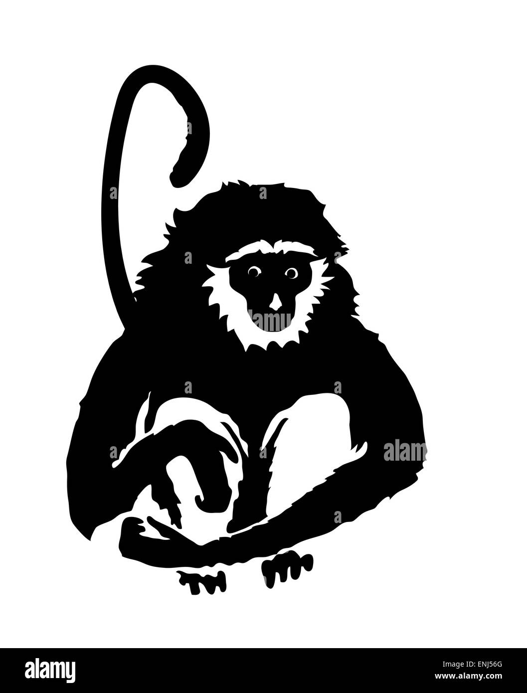 Affe. Handgezeichnete Silhouette des Tieres auf weißem Hintergrund Stock Vektor
