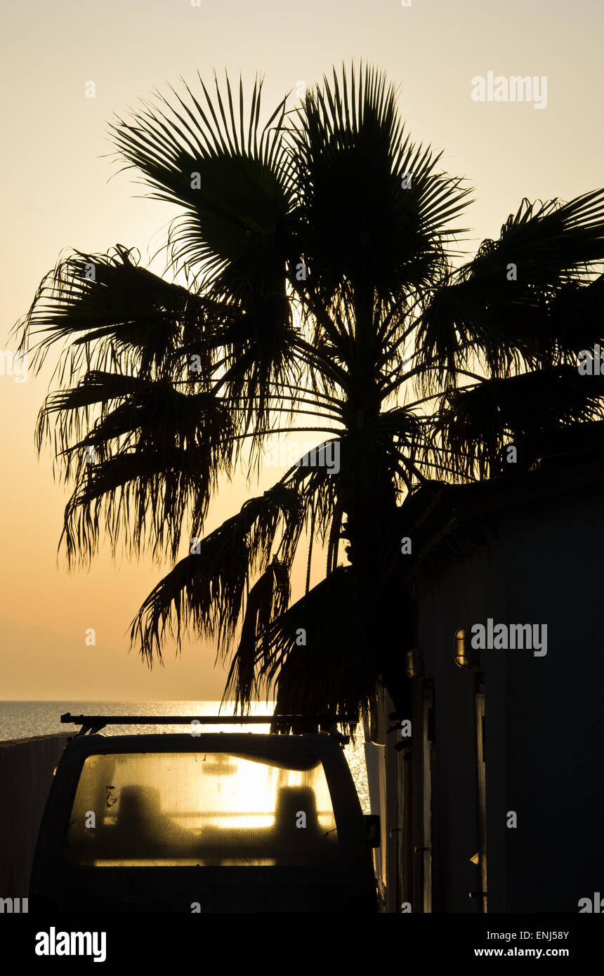 Auto unter Palmen bei Sonnenuntergang am Strand Stockfoto