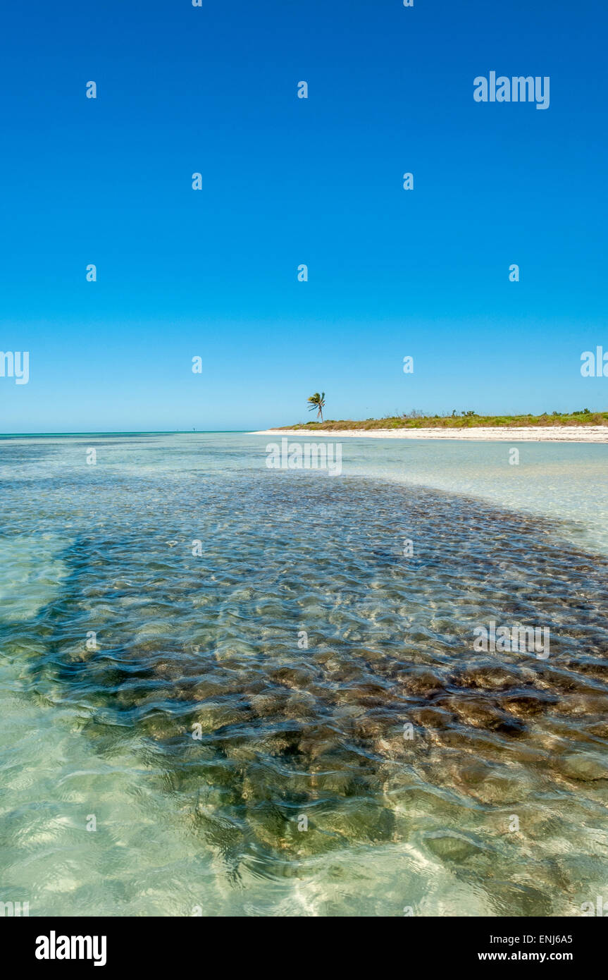 Ein remote Mangroveninsel. Der Key West National Wildlife Refuge, untere Florida Keys. USA Stockfoto