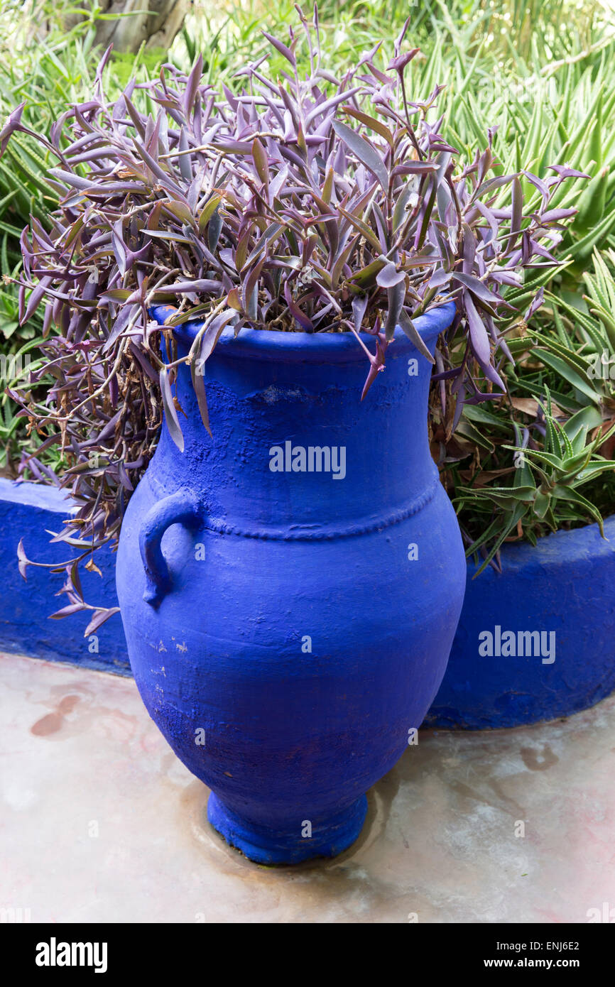 Yves Saint Laurent Garten Marokko Marrakesch marokkanische Gärten Jardin Majorelle Stockfoto