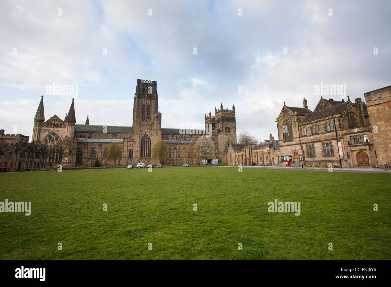 Kathedrale von Durham und Universitätsbibliothek und Palace grün Stockfoto