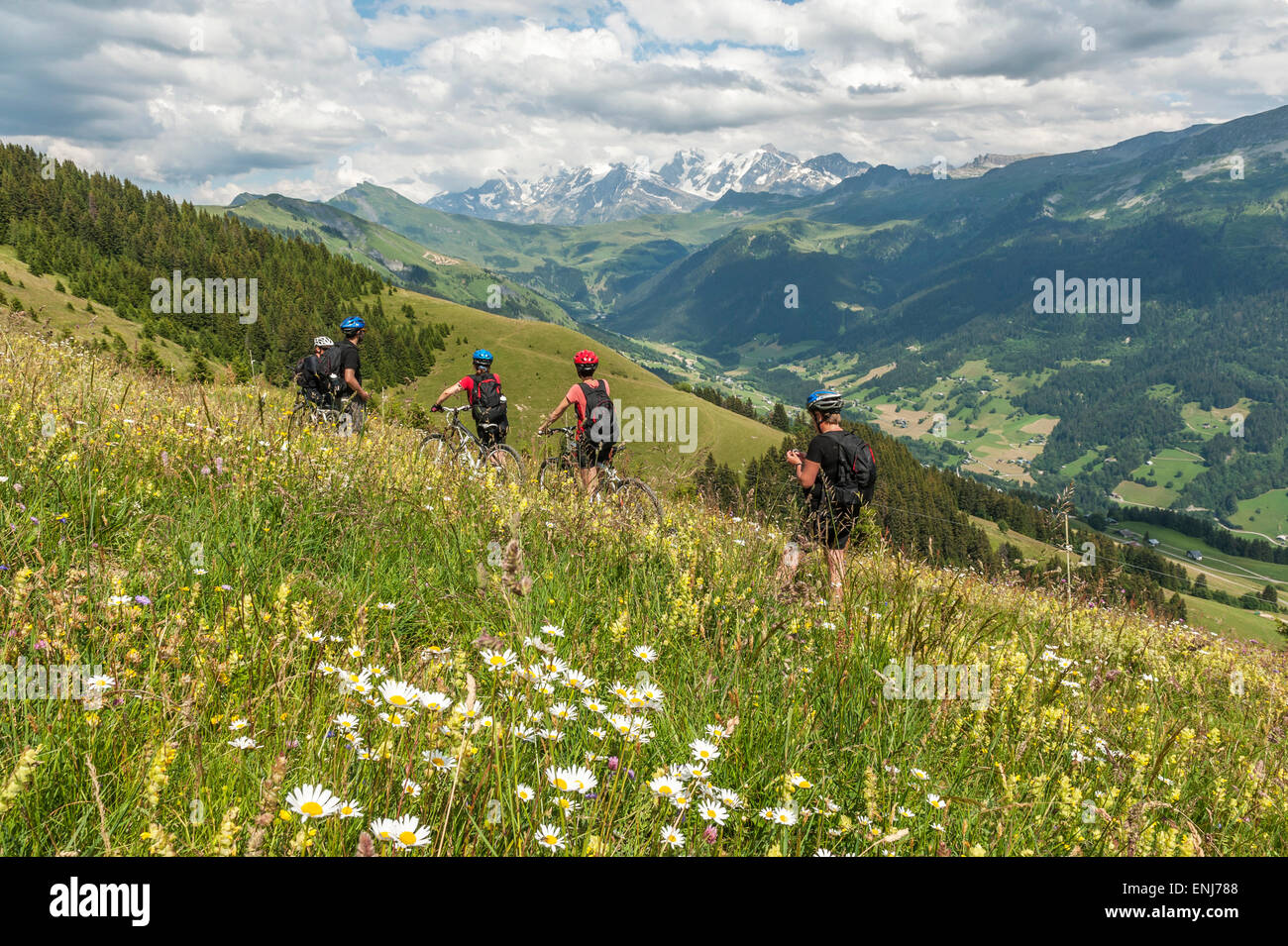 Radfahrer genießen das Panorama der Mont-Blanc & Alpenkette. Beaufortain & Val Arly Region. Département Savoie. Fr Stockfoto