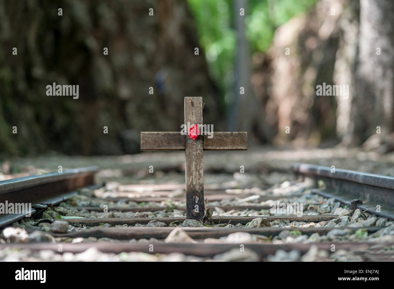 Erinnerung Kreuz und Mohn am Hellfire Pass entlang der Burma-Bahn (Death Railway) Tenasserim Hügel. Thailand Stockfoto