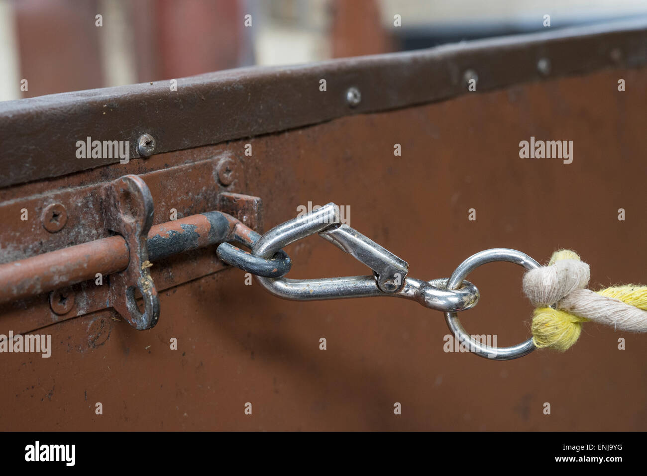 Clip hält ein Pferde-Blei-Seil auf den Bolzen einer Tür. Stockfoto