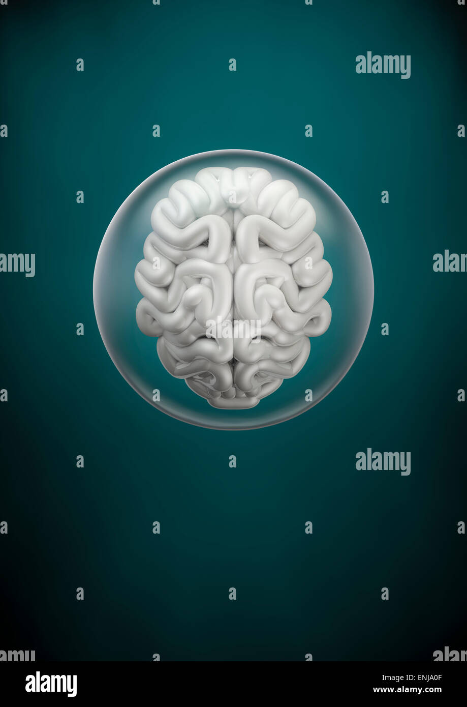3D Rendern des Gehirns im Inneren der Glaskugel ausgesetzt Stockfoto