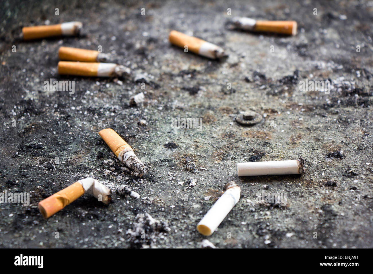 Viele Zigarettenkippen im schmutzigen Aschenbecher. Stockfoto