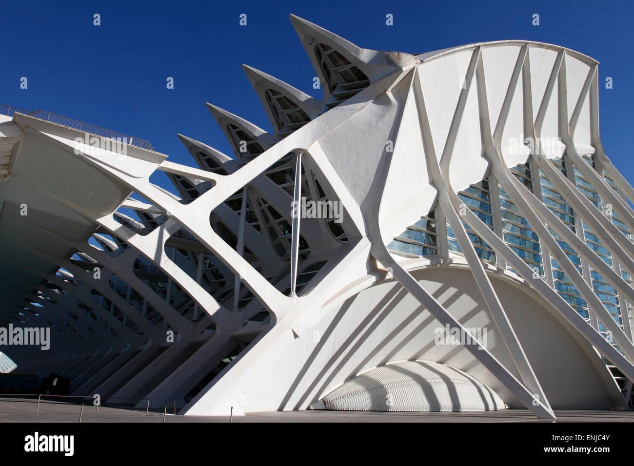 Einzelheiten in Ciudad de Las Artes y Las Ciencias (Stadt der Künste und Wissenschaften), Valencia, Spanien Stockfoto