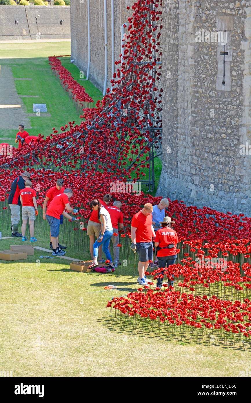 Mohn Freiwillige arbeiten im Schatten im historischen Tower of London Graben an sehr heißen Sommertag Montage Keramik roten Mohn auf Draht Stängel England UK Stockfoto