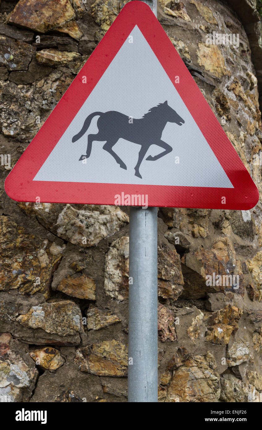 Passen Sie auf Pferd oder Pony Silhouette. Vereinigtes Königreich dreieckige Warnschild, Warnung vor Kai oder River Bank. Stockfoto