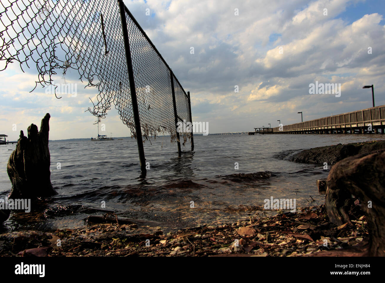 Küste bei Mandarin Park, St. John River, US-Bundesstaat Florida, Jacksonville, USA Stockfoto