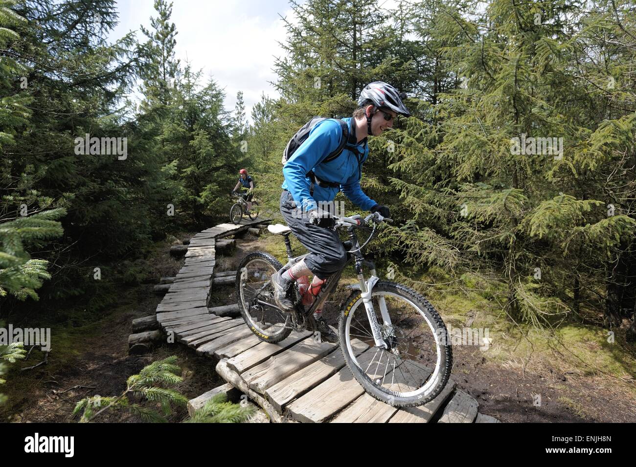 Mountain-Biker auf einem Abschnitt der Promenade im Gisburnund Wald Stockfoto
