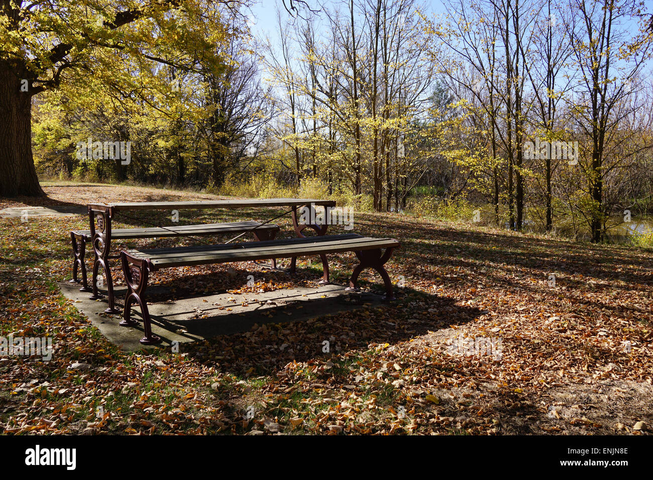 Leere Picknickbank an sonnigen Tag im Herbst mit bunten Blättern im Shire, Victoria, Australien. Stockfoto