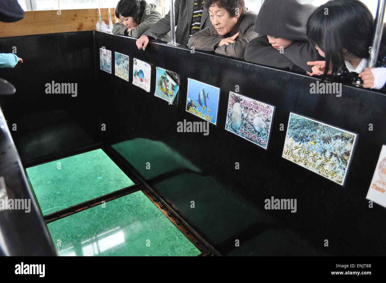 Ishigaki, Japan: Touristen beobachten den Meeresboden von einem Boot mit einem Plexiglas-Kiel Kabira Bay Stockfoto