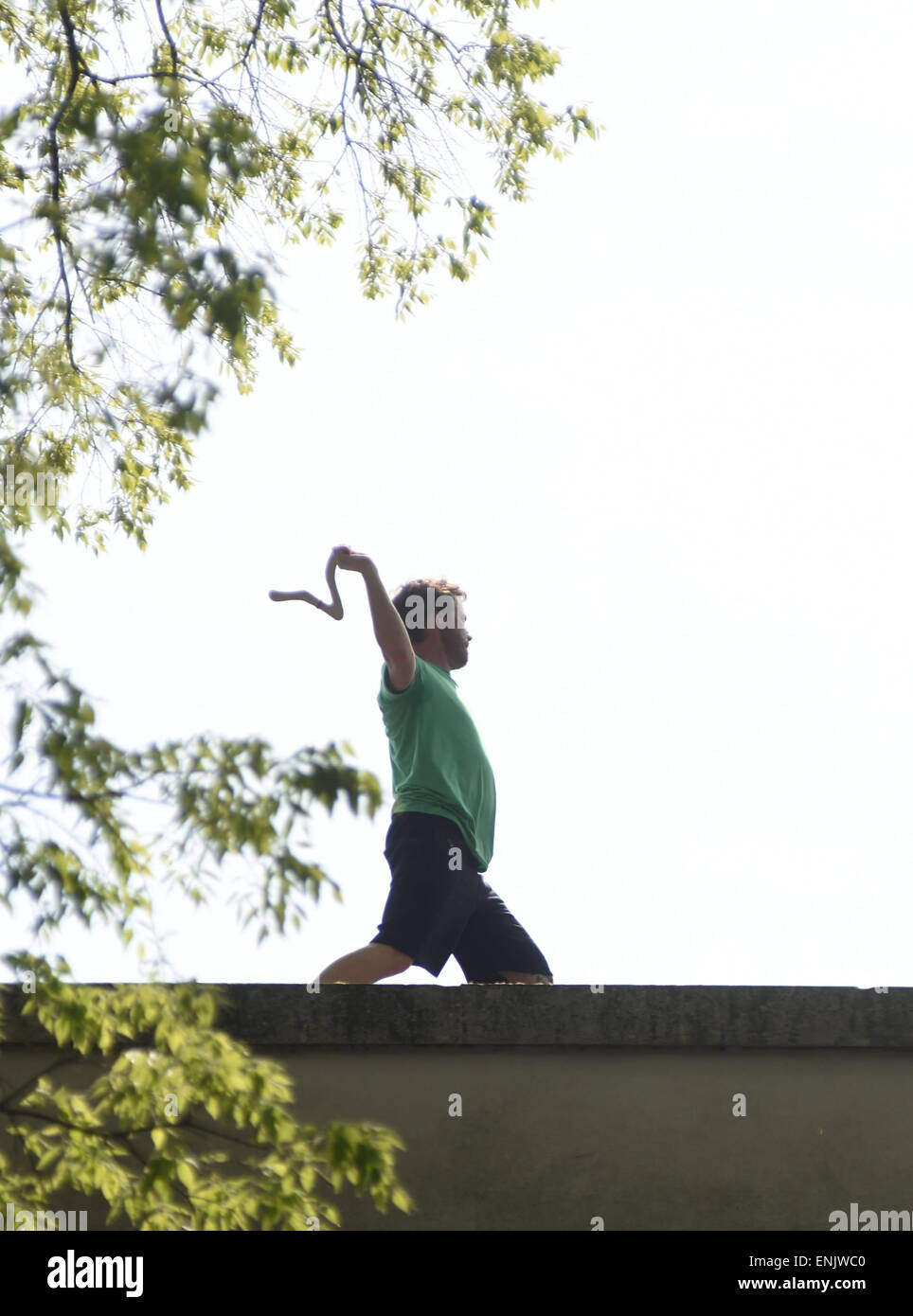 Venedig, Italien. 6. Mai 2015. "Giro, 2015" von dem Künstler Olaf Nicolai auf dem Dach des deutschen Pavillons auf der Biennale in Venedig, Italien, 6. Mai 2015 man kann. Es Akteure führen Schattentheater. Von Zeit zu Zeit gehen sie raus auf dem Dach Sims und werfen von Bumerangs. Die internationale Kunstmesse "La Biennale di Venezia 2015" verkehrt von 09 Mai bis 22. November 2015. Foto: FELIX HOERHAGER/Dpa/Alamy Live News Stockfoto