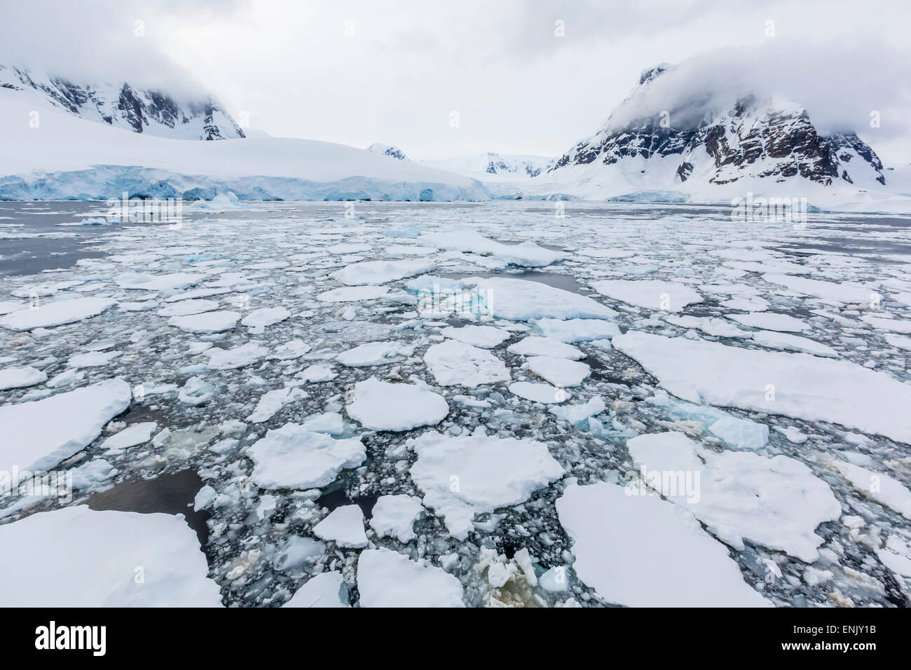 Eisschollen ersticken die Gewässer des Lemaire-Kanal, Antarktis, Polarregionen Stockfoto