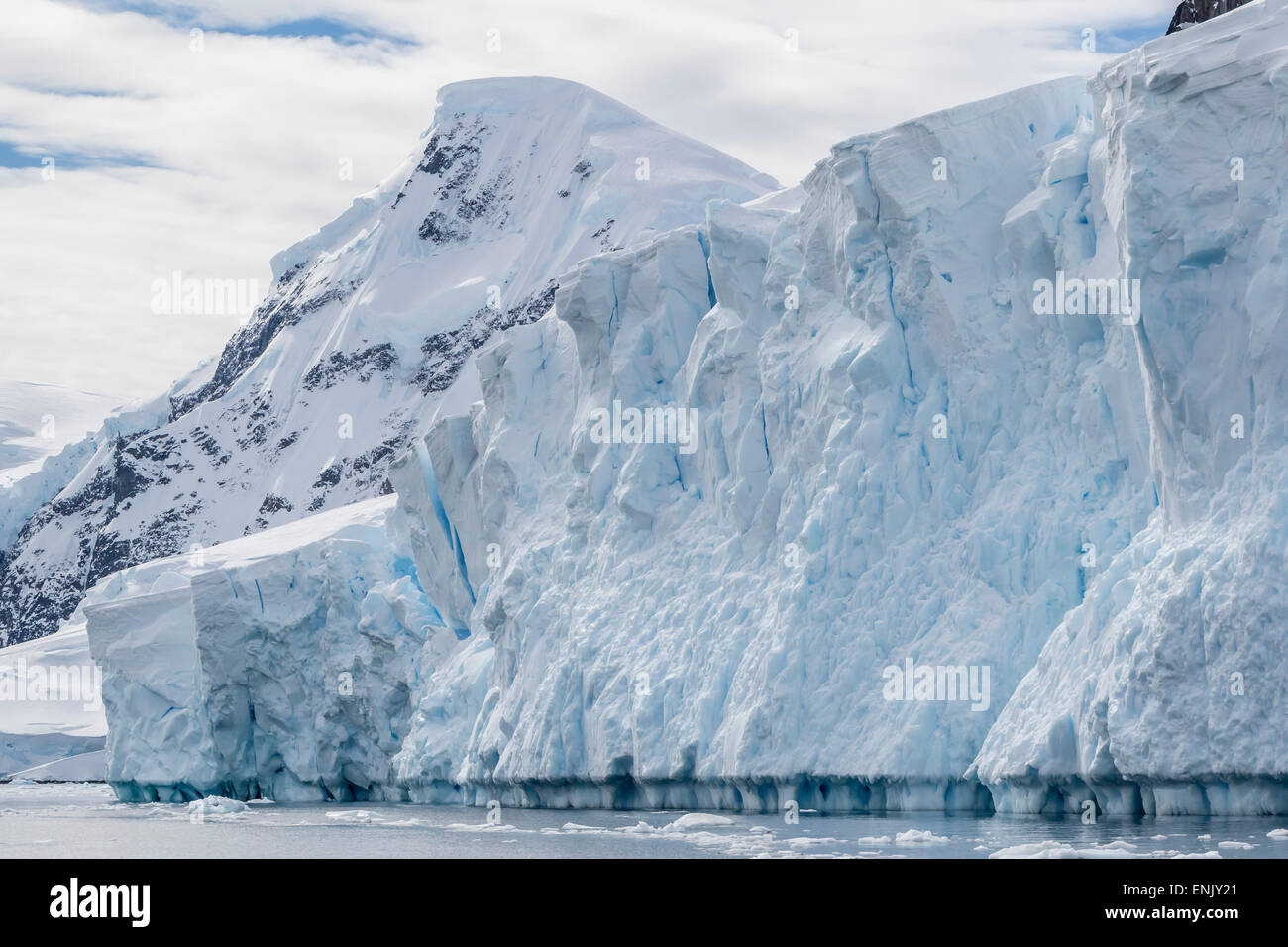 Kalbende Gletscher Gesicht Detail in Neko Harbor, Antarktis, Polarregionen Stockfoto