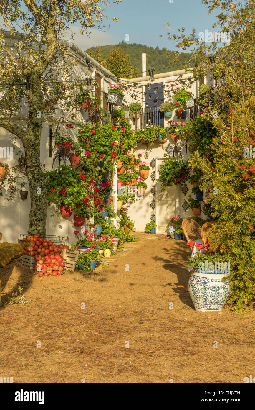 Malvern, Worcestershire, UK 7. Mai 2015.  Eine andalusische Moment stimmte das beste beim Frühlingsfest RHS Malvern Garten zeigen.  Der Garten entworfen und gebaut von Villaggio Verde bringt die Farben und Gefühl des Mittelmeers mit einer spanischen Kleinstadt komplett mit seinen kleinen Gassen und kreativen Bepflanzung. Bildnachweis: Ian Thwaites/Alamy Live-Nachrichten Stockfoto