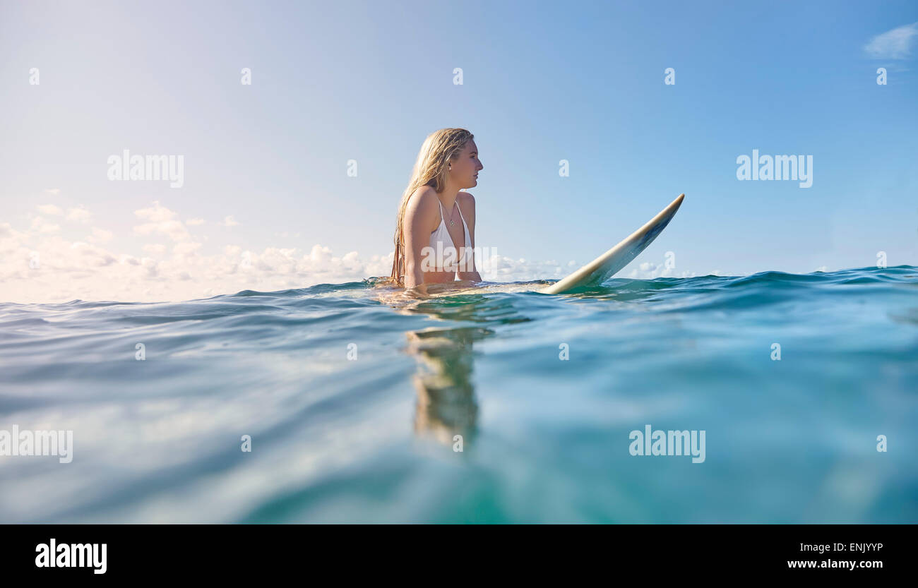 Mädchen auf Surfbrett, New South Wales, Australien, Pazifik Stockfoto