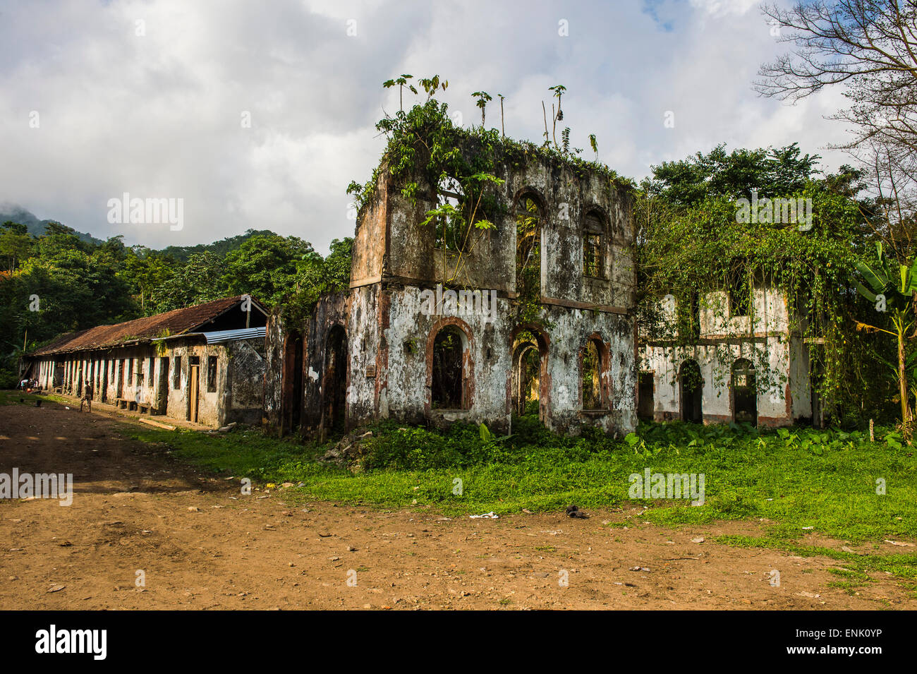 Verfallende Häuser in der alten Plantage Roca Bombaim Dschungel innen São Tomé, Sao Tome und Principe, Atlantik Stockfoto