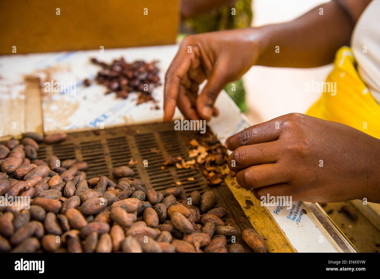 Frauen, die Gewinnung von Schokolade aus Kakaobohnen, Plantage Roca Monte Cafe, São Tomé, Sao Tome und Principe, Atlantik Stockfoto