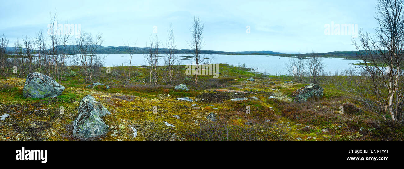 Tornetrask Sommer trübe Aussicht auf den See (Lappland, Norrbotten Grafschaft in Schweden). Panorama. Stockfoto