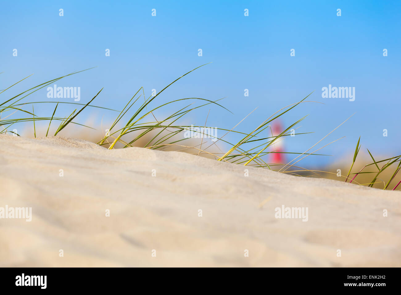 Sand Dune View - konzentriert Strand Sanddüne mit Rasen und einem weichen rot-weiß gestreifte Leuchtturm im Abstand Stockfoto