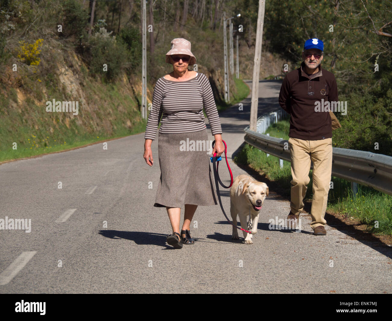 Ältere Frau und Mann zu Fuß einen gelben Labrador Retriever an einem sonnigen Tag Stockfoto