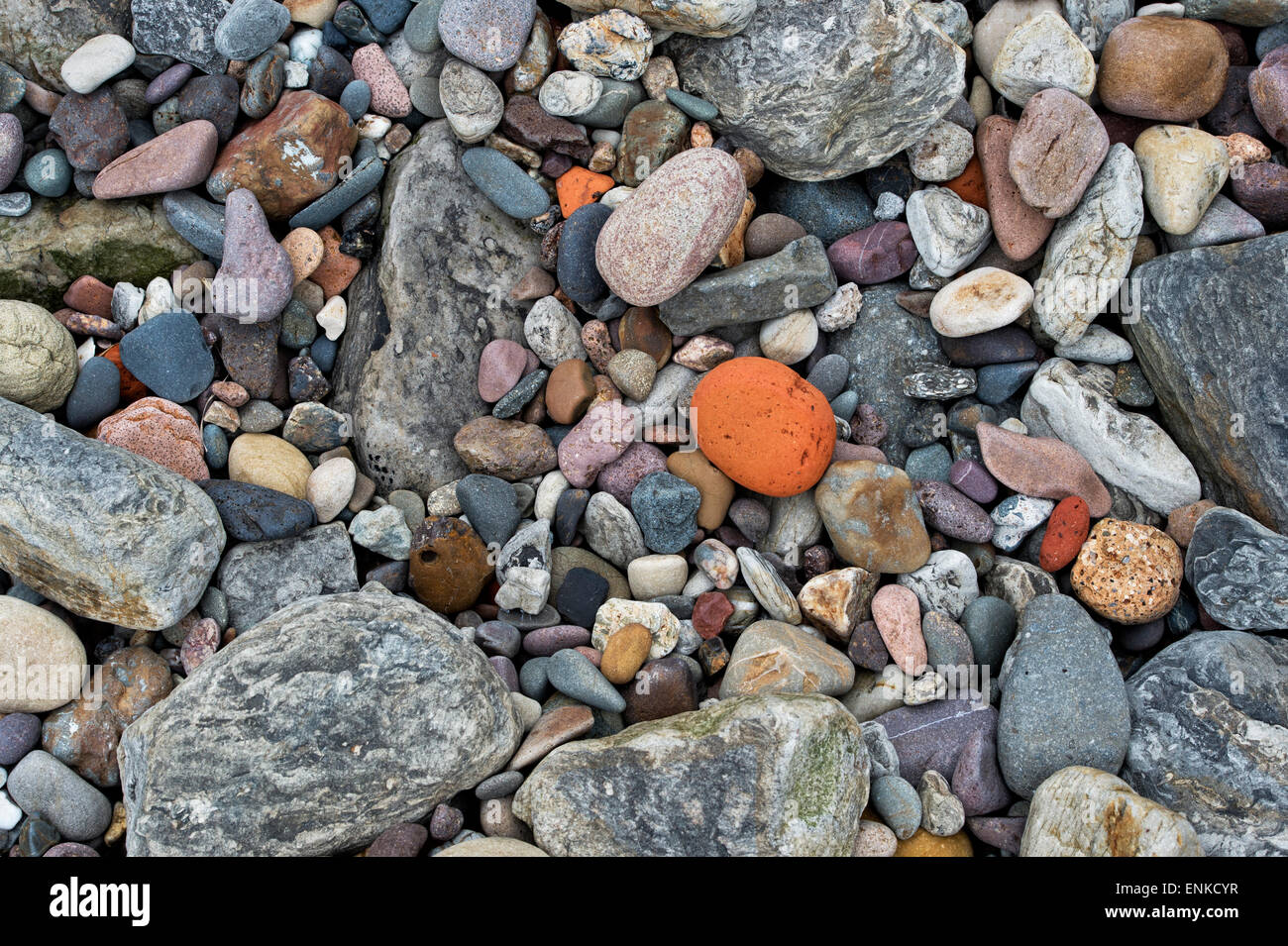 Kies und Steinen am Strand an der Küste von Northumberland. UK Stockfoto