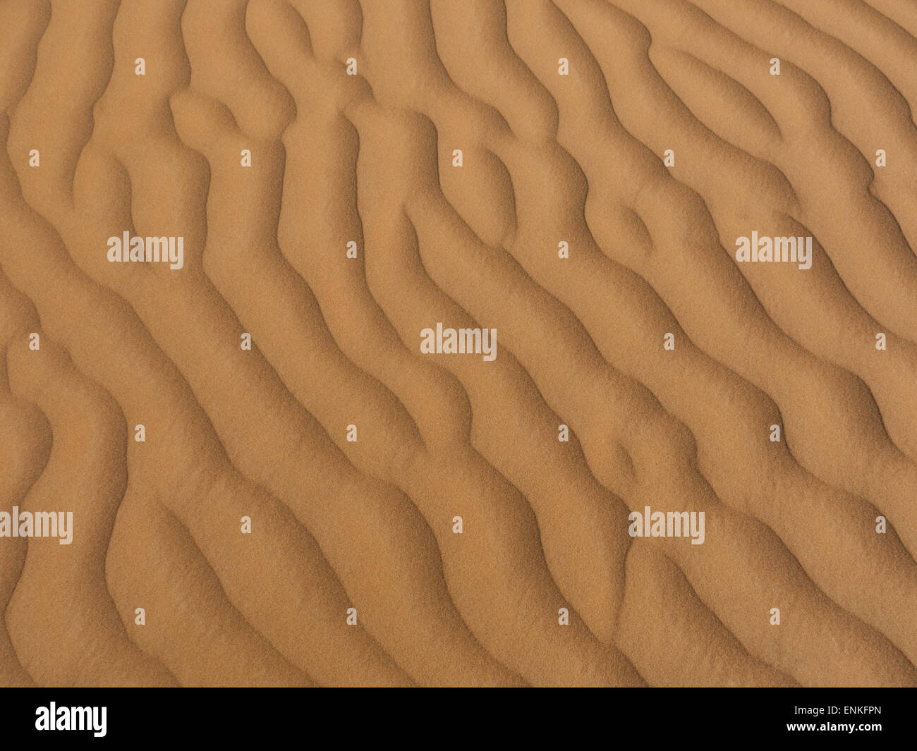 Bild ein Wellenmuster Sands als Hintergrund, einfüllen. Stockfoto