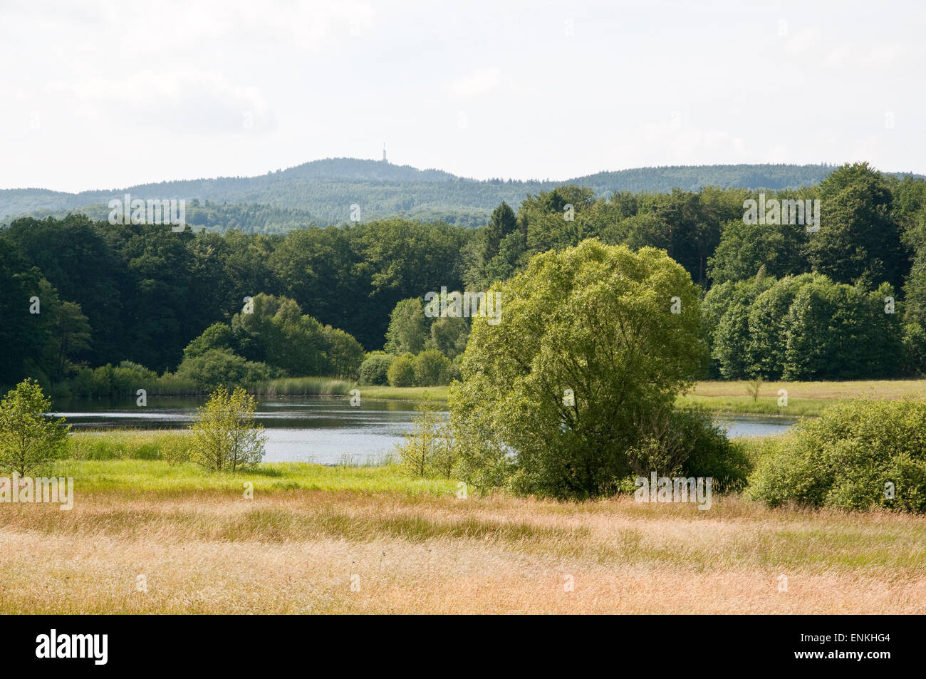 Landschaft mit Hügeln von Harz, Niedersachsen, Deutschland Stockfoto