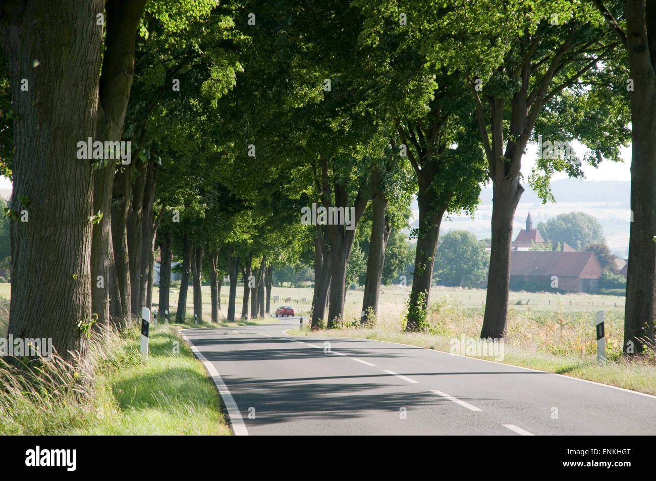 Landstraße, Gasse, Landschaft Weserbergland, Niedersachsen, Deutschland Stockfoto