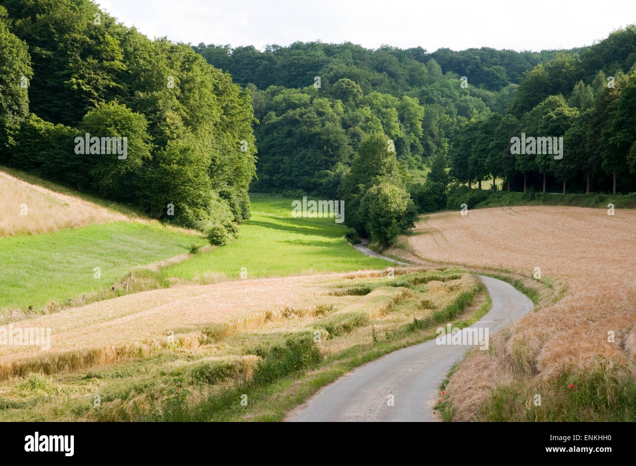 Landschaft, Tal, Feld, Weserbergland, Niedersachsen, Deutschland Stockfoto